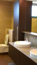 Palm Spring (D10), Condominium #97197532